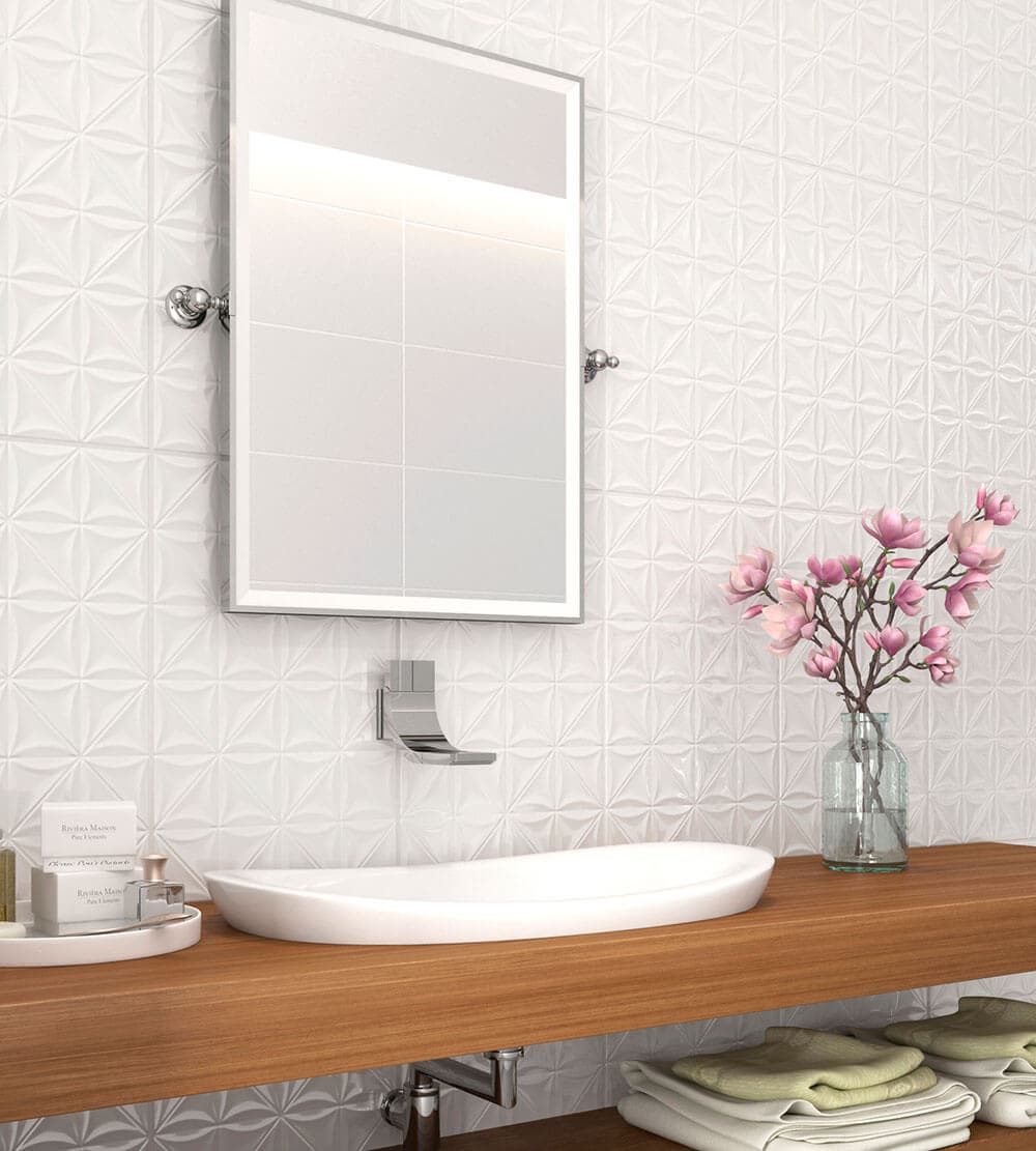 Sense Extra Formigres ambiente